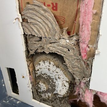 Happy Hive Pest Management - Pest Control Near Me - Cincinnati, Ohio Happy Hive Pest Management - Pest Control Near Me - Cincinnati, Ohio