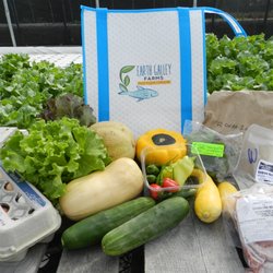 Earth Galley Farms