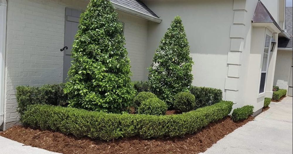 Lions Landscaping - tree service in Baton Rouge, LA