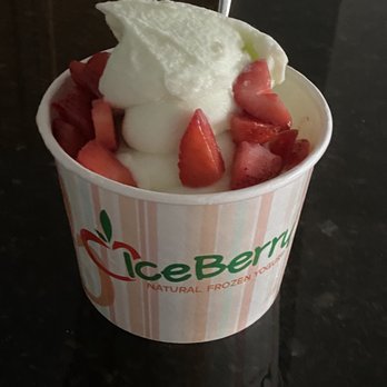 IceBerry - Honeydew frozen yogurt and strawberry topping (large size) - Ice Cream & Frozen Yogurt Near Me - Arlington, Virginia