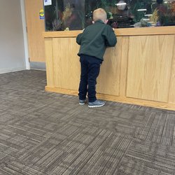 Geist Family Medicine and Pediatrics - Looking at all the types of fish in the tank before seeing the doctor
