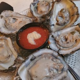 Oyster