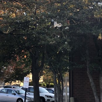 Williams Reserve - There's even garbage in the trees. - Apartments Near Me - Palatine, Illinois