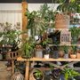 Photo of Botanica Floral + Home