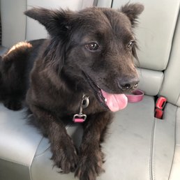 Taking her to the clinic for a free check up if you adopt and take them in within a week. Taking her to the clinic for a free check up if you adopt and take them in within a week.