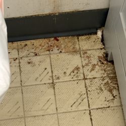 Gray's Cafe - The bathroom floor in women's restroom.