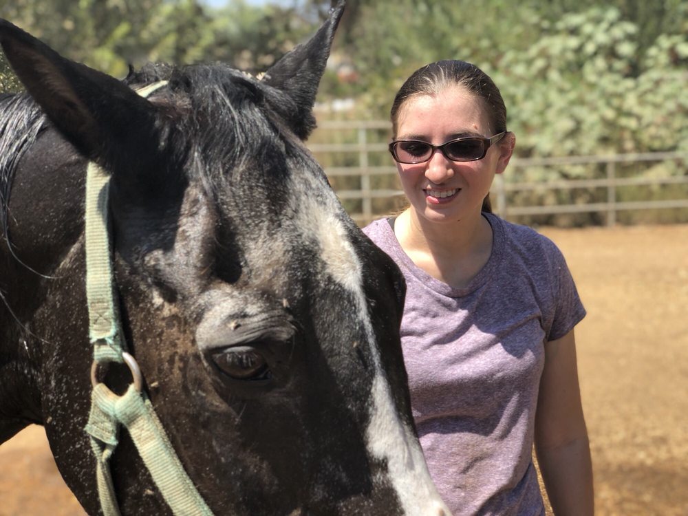 The Riding School - equestrian in Rancho Santa Fe, CA