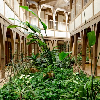 Everbare Esthetics - Lush greenery fills the central atrium of the building surrounding Everbare Esthetics. - Skin Care Near Me - Leawood, Kansas Everbare Esthetics - Lush greenery fills the central atrium of the building surrounding Everbare Esthetics. - Skin Care Near Me - Leawood, Kansas