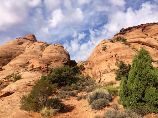 Moab Desert Adventures by null