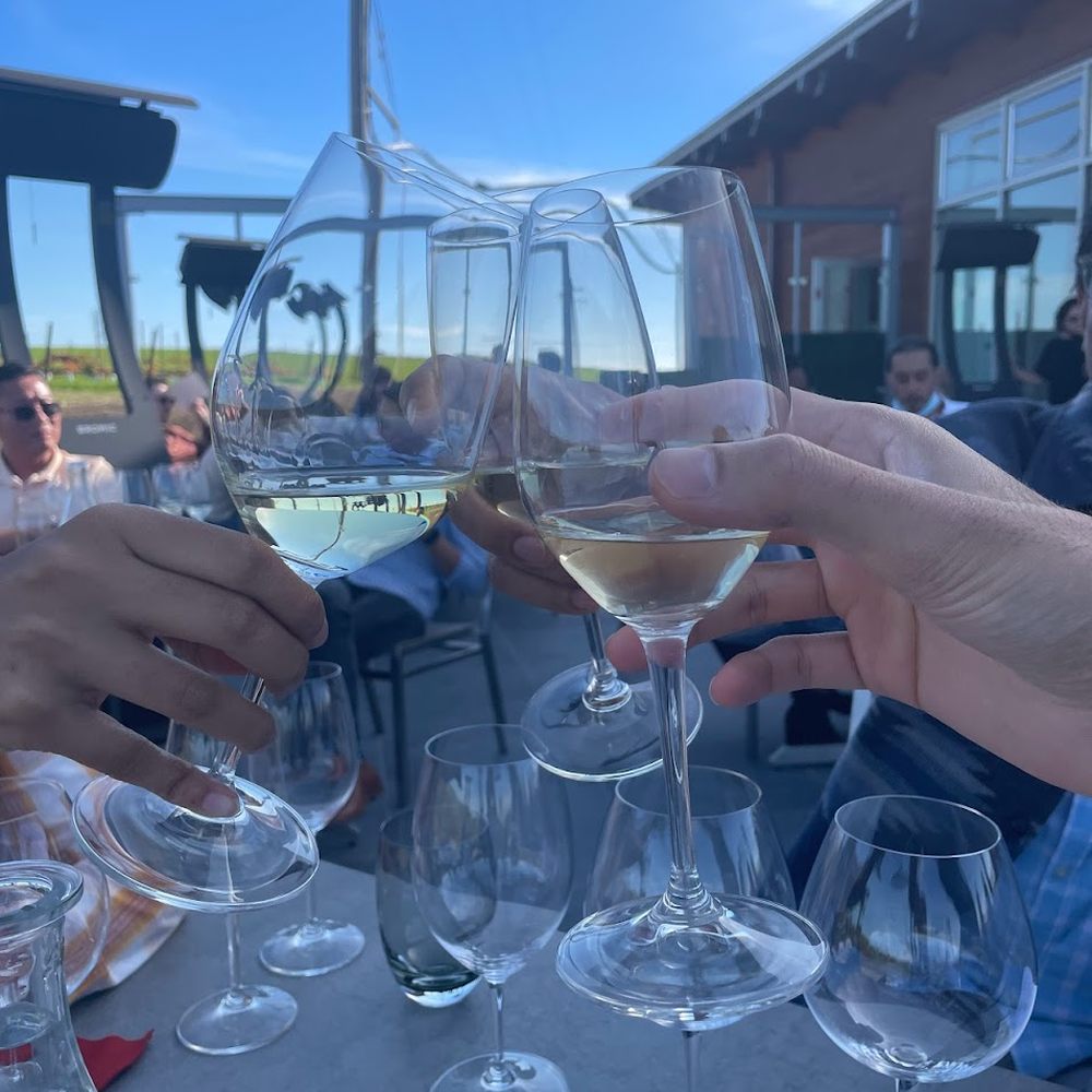 Cuvaison - Wineries Near Me - Napa, California