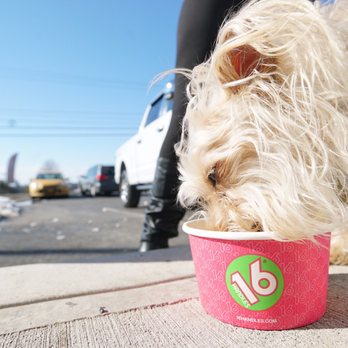 16 Handles - Ice Cream & Frozen Yogurt Near Me - Rensselaer, New York 16 Handles - Ice Cream & Frozen Yogurt Near Me - Rensselaer, New York