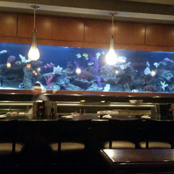 Kona Grill - Gilbert - Dinning area nice and clean - Sushi Bars Near Me - Gilbert, Arizona Kona Grill - Gilbert - Dinning area nice and clean - Sushi Bars Near Me - Gilbert, Arizona