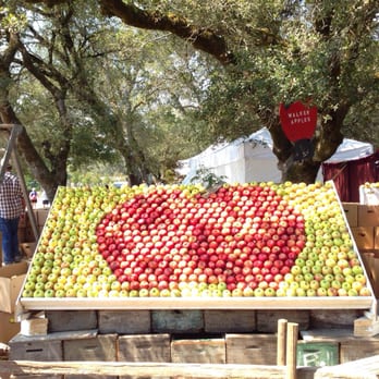 Gravenstein Apple Fair - Festivals Near Me - Sebastopol, California Gravenstein Apple Fair - Festivals Near Me - Sebastopol, California