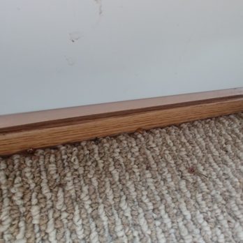 Whispering Pines Cabin - Bugs along the baseboards. - Hotels Near Me - Logan, Ohio Whispering Pines Cabin - Bugs along the baseboards. - Hotels Near Me - Logan, Ohio