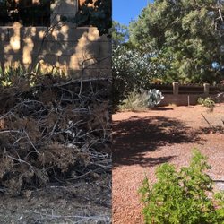 M and M Landscaping Service - Miguel worked his magic!