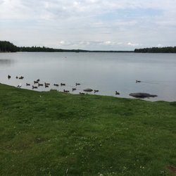 Carter Park