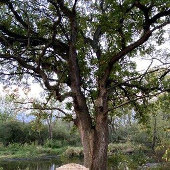 White River County Park - View of the river - Parks Near Me - Lyons, Wisconsin