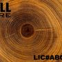 Photo of Above All Tree Care