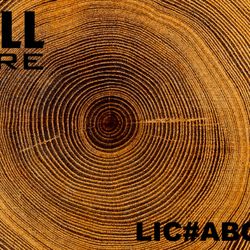 Above All Tree Care