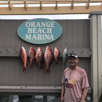 Distraction Charters - Tours Near Me - Orange Beach, Alabama Distraction Charters - Tours Near Me - Orange Beach, Alabama
