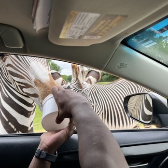 Alabama Safari Park - Zoos Near Me - Hope Hull, Alabama