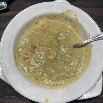 Local Goat - Soup of the Day Bowl= Cheddar Broccoli - New American Near Me - Pigeon Forge, Tennessee Local Goat - Soup of the Day Bowl= Cheddar Broccoli - New American Near Me - Pigeon Forge, Tennessee