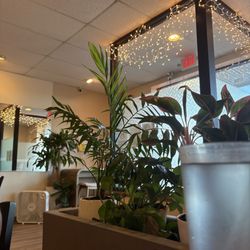 Basil Leaf - Entrance with plants!