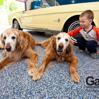 Galaxy Concrete Coatings - a boy and two dogs - Flooring Near Me - Tempe, Arizona Galaxy Concrete Coatings - a boy and two dogs - Flooring Near Me - Tempe, Arizona