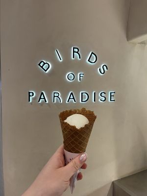 Birds of Paradise Gelato Boutique (Jewel Changi Airport) by null