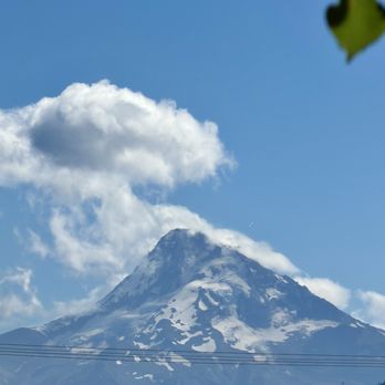 Mount Hood Railroad - View from visitor's stop - Trains Near Me - Hood River, Oregon