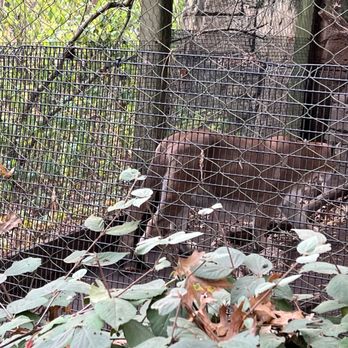 Bergen County Zoo - Zoos Near Me - Paramus, New Jersey