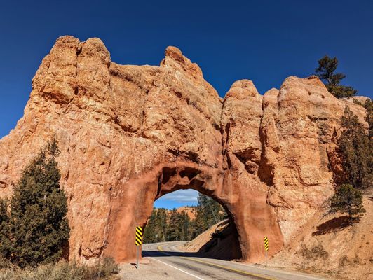 Dixie National Forest by null