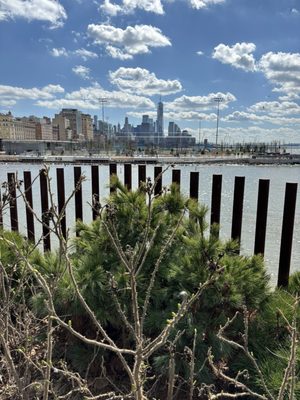 Little Island, Pier 55 at Hudson River Park by null