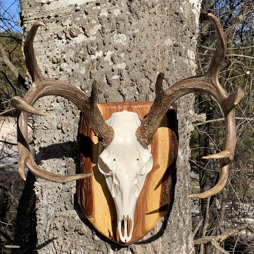 SHAWN’S CUSTOM TAXIDERMY Updated September 2024 Request Information