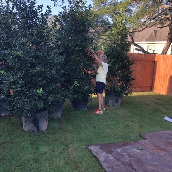 Moon Valley Nurseries - Before planting - Nurseries & Gardening Near Me - Austin, Texas