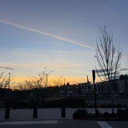 Shake Shack Kirkland - Pretty Sunset!