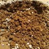 Tri-City Materials gift card