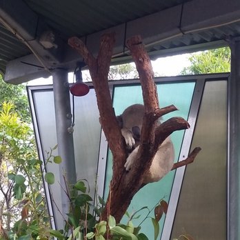 Taronga Zoo - Zoos Near Me - Mosman, NSW Taronga Zoo - Zoos Near Me - Mosman, NSW