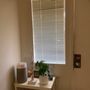 Photo of Women's Wellness Therapies with Cynthia Azma, LMP