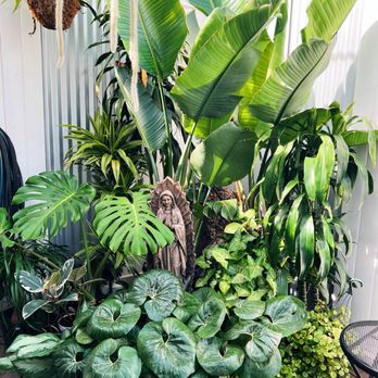 Plantology Café - Coffee & Tea Near Me - Oceanside, California