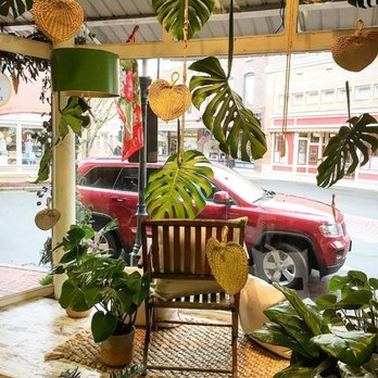 Bleached Butterfly - New window display... #windowdisplay #tropical #fresh #new #summer #foliage #monstera #rainforest - Florists Near Me - Berlin, Maryland