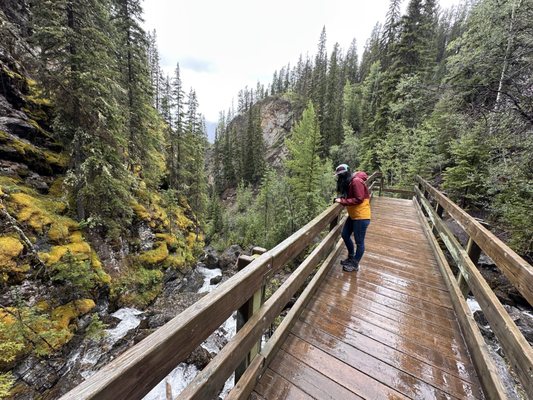 Sulphur Mountain by null
