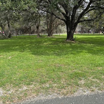 Kilo Bravo Elite - a tree in a grassy area - Lawn Services Near Me Kilo Bravo Elite - a tree in a grassy area - Lawn Services Near Me