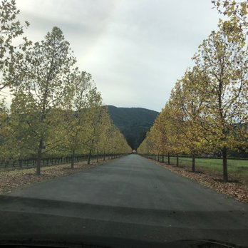 Inglenook - Beautiful drive - Wineries Near Me - Rutherford, California