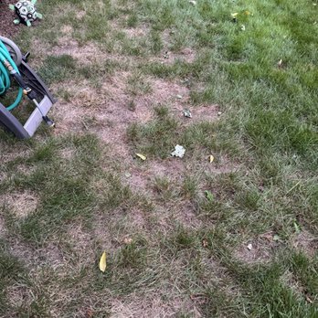 TruGreen Lawn Care - Tree Services Near Me - Albany, New York TruGreen Lawn Care - Tree Services Near Me - Albany, New York