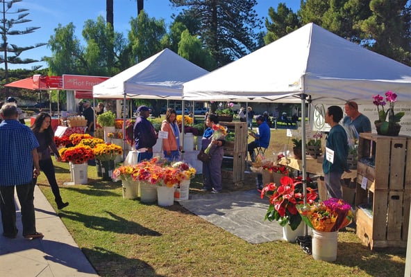 Downtown Oxnard Farmers Market by null