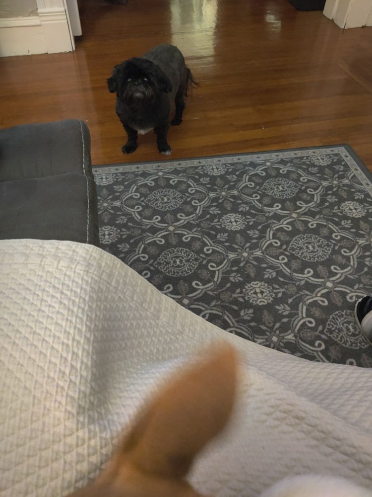 o Jupiter Florida Real Estate For Sale