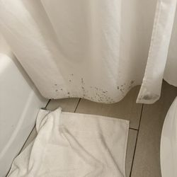 Holiday Inn Express & Suites Levelland - Mold on the shower curtain