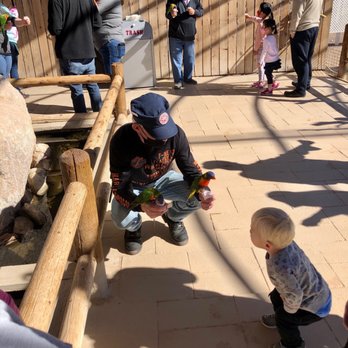 Rooster Cogburn Ostrich Ranch - Petting Zoos Near Me - Picacho, Arizona Rooster Cogburn Ostrich Ranch - Petting Zoos Near Me - Picacho, Arizona