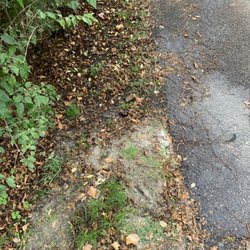 Capilla Concrete - Dumping excess concrete on someone else's private property.